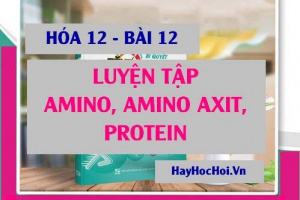Bài tập luyện tập Amin, Amino axit và Protein có đáp lời giải - Hóa 12 bài 12